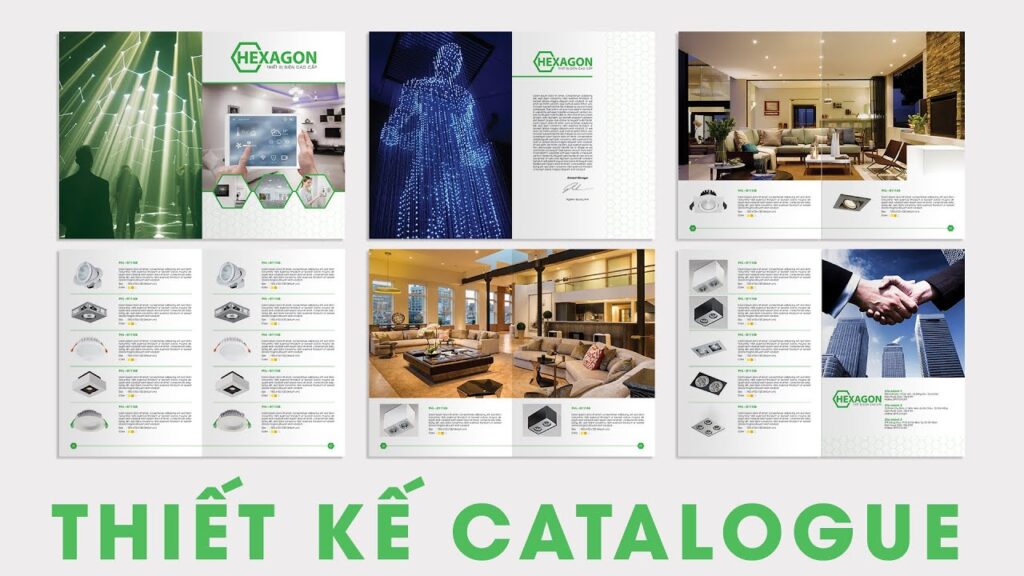 Thiết kế Catalogue Công ty